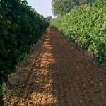 01.08.2017 DEMO DAY/TRAINING presso l'azienda dimostrativa Res UVae.